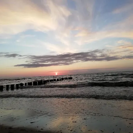 Gardenia Przy Plazy 19 *