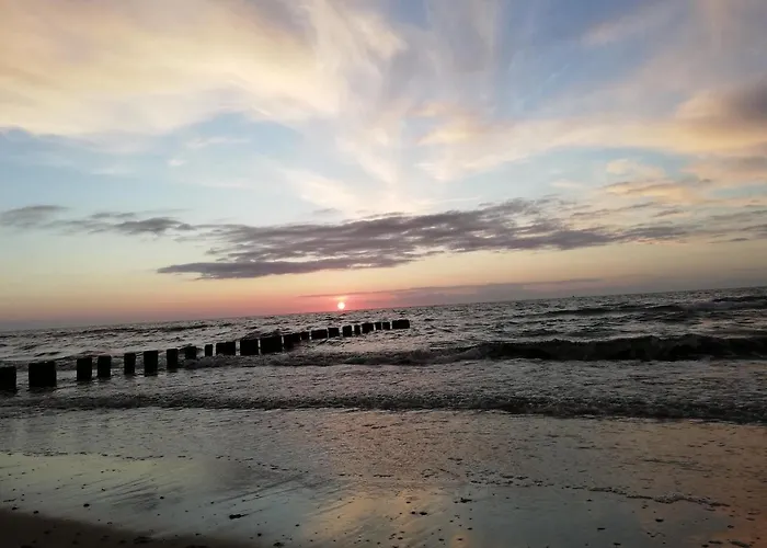 Gardenia Przy Plazy 19 *